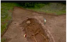 giant skeletons