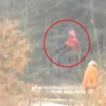flying girl real or fake