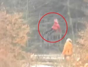 flyinggirlrealorfake