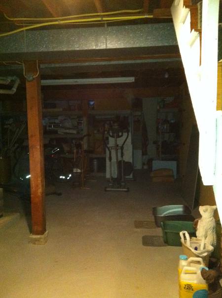 havoner basement ghost